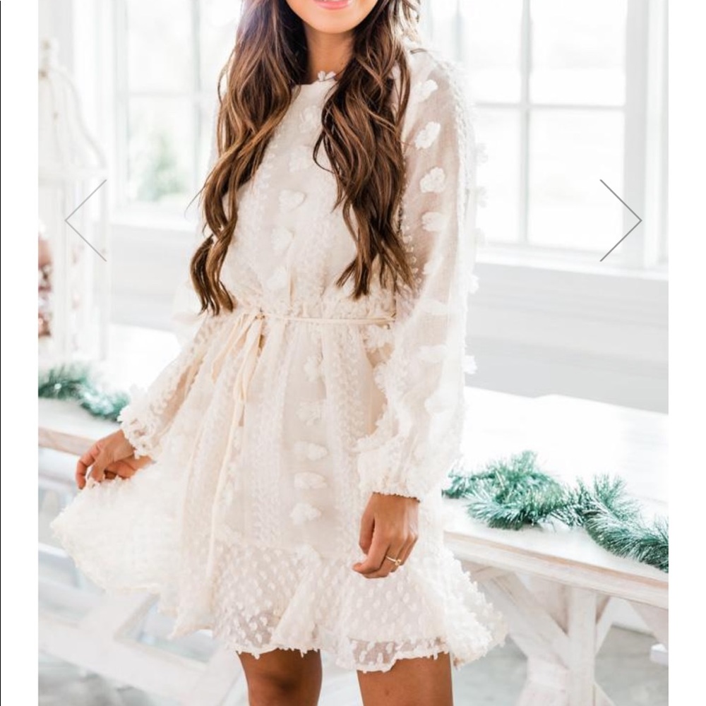 NWT Pink Lily Boutique Dress